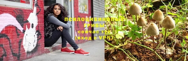 мяу мяу мука Абдулино