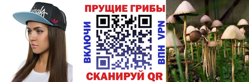 Галлюциногенные грибы Magic Shrooms Ртищево